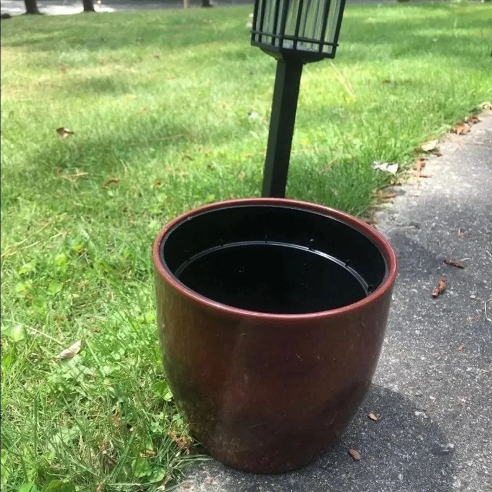 Brown flowers pot
